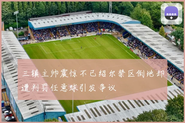 三镇主帅震惊不已绍尔禁区倒地却遭判罚任意球引发争议
