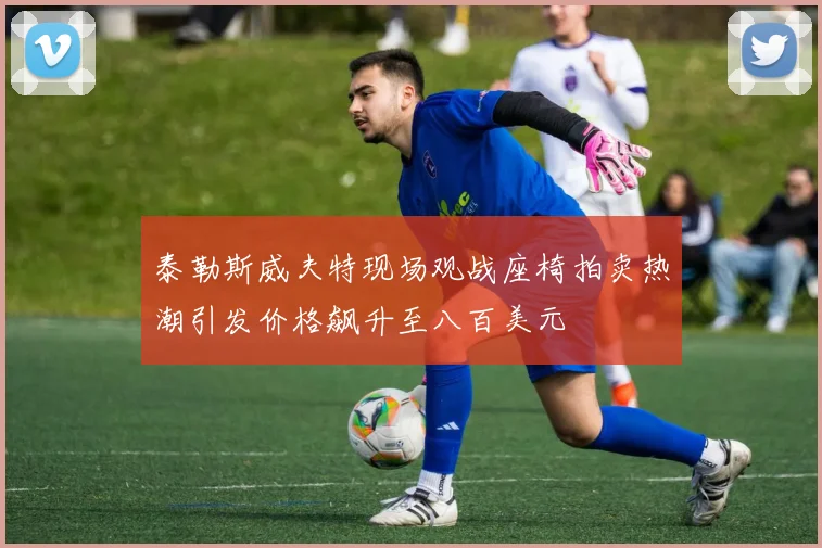泰勒斯威夫特现场观战座椅拍卖热潮引发价格飙升至八百美元